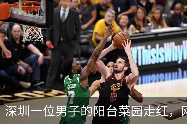深圳一位男子的阳台菜园走红，网友称其为“奢华农民